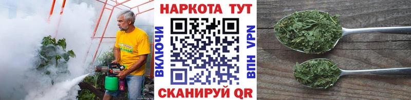 Что такое Раменское Гашиш Псилоцибиновые грибы Мефедрон Конопля Alpha PVP