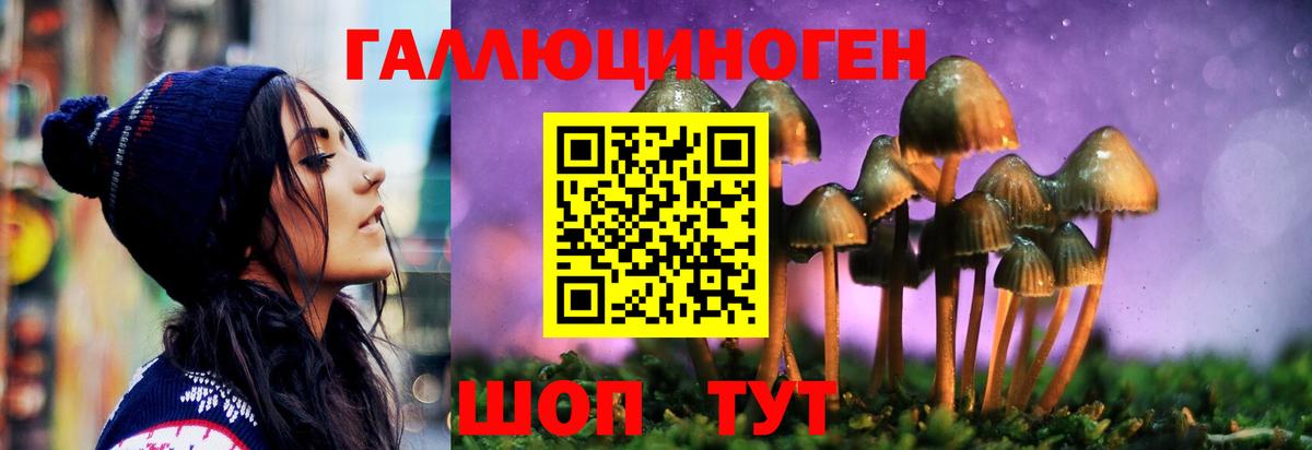 Галлюциногенные грибы прущие грибы Раменское