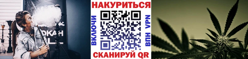купить закладку  shop наркотические препараты  Марихуана марихуана  Раменское 